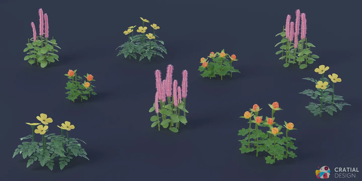 Stylized Arctic flowers and cloudberry plant variations.