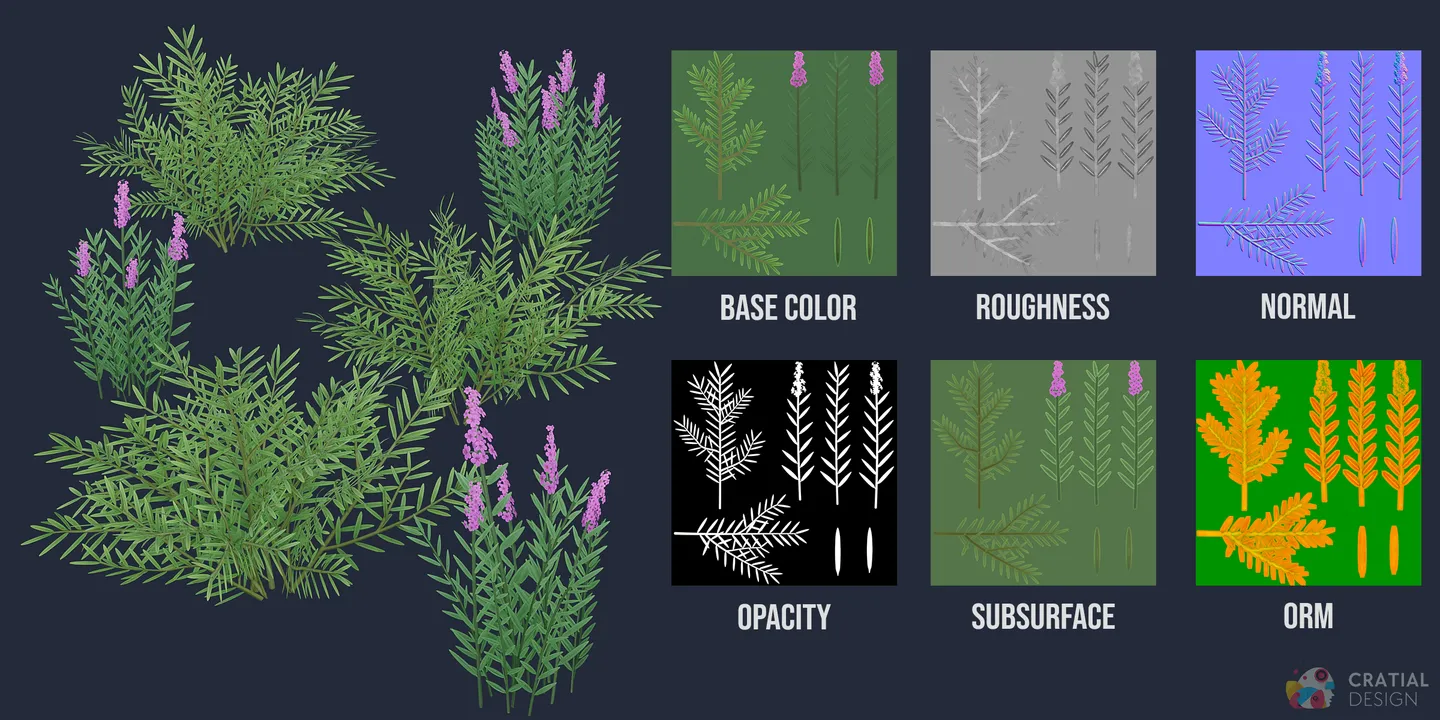 Northern wildflowers and low forest plants shown with labeled PBR texture maps.