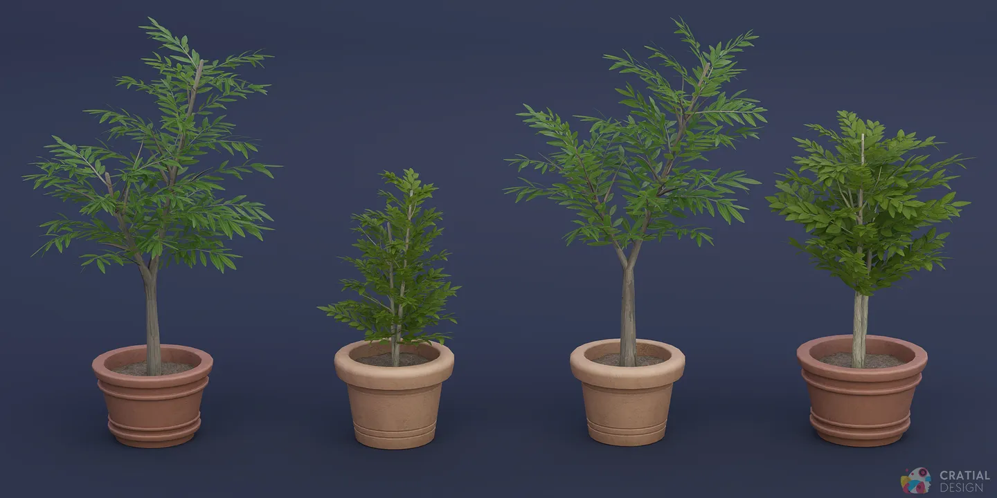 Stylized olive and bay laurel trees shown in several decorative pots.