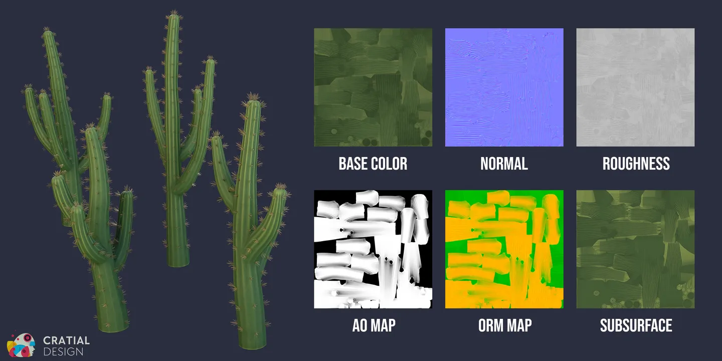 Stylized cactus models shown beside labeled PBR texture-map examples.